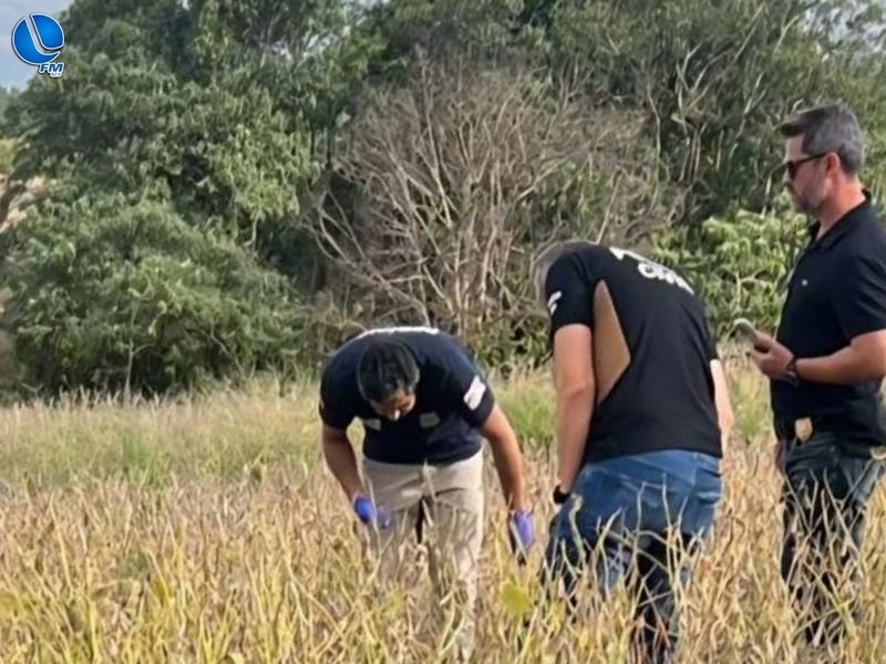 Polícia Civil identifica homem encontrado morto em lavoura no interior de Passo Fundo