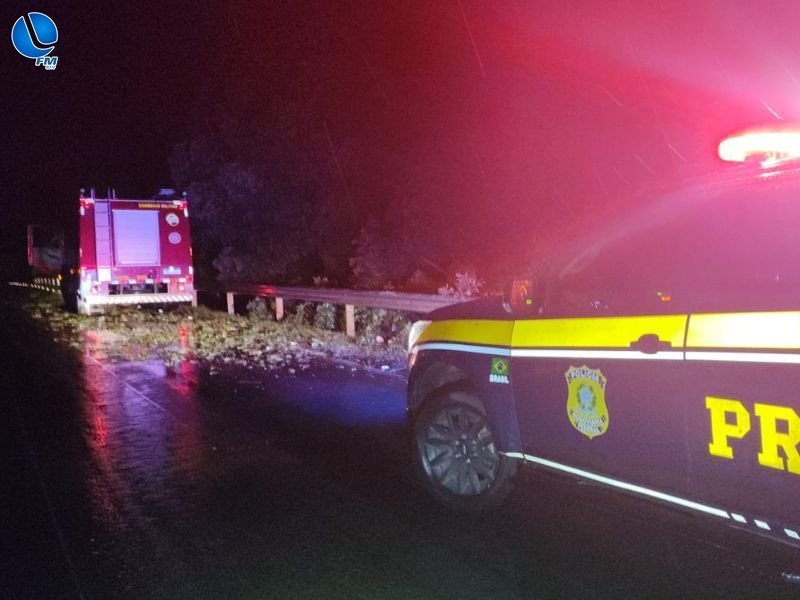 PRF e Bombeiros desobstruem mais de 30 pontos de rodovias após temporal