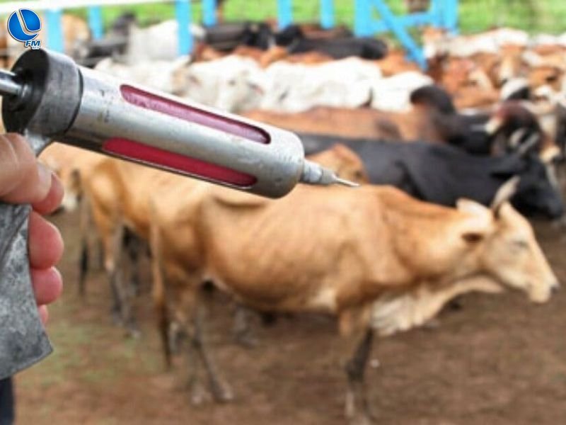 Confirmado caso de raiva herbívora em Sananduva e Inspetoria emite alerta