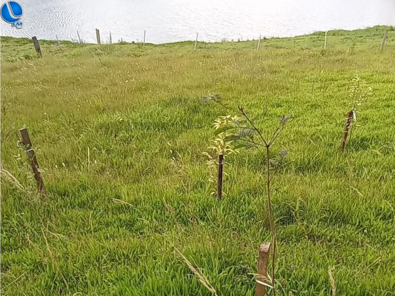 Projetos de Recuperação de Área Degradada são fiscalizados pela Patram