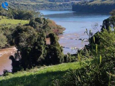 Ataque de animal misterioso no Rio Ligeiro gera alerta em Maximiliano de Almeida