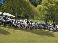 Imagem 10 da galeria