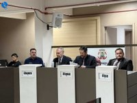 Imagem 12 da galeria