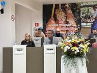 Imagem 26 da galeria