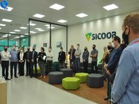 Imagem 10 da galeria