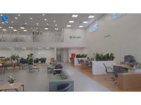 Imagem 21 da galeria