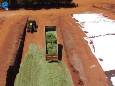 Secretaria de Agricultura e Meio Ambiente recebe pedidos para limpeza de silos em Lagoa Vermelha