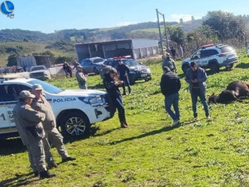 Idoso morre após ser atacado por touro em propriedade rural de Soledade
