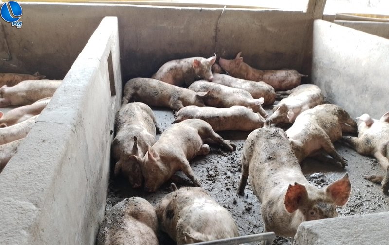 PATRAM realiza cumprimento à Ofício do Poder Judiciário