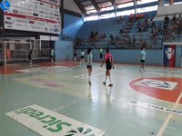 Imagem 10 da galeria