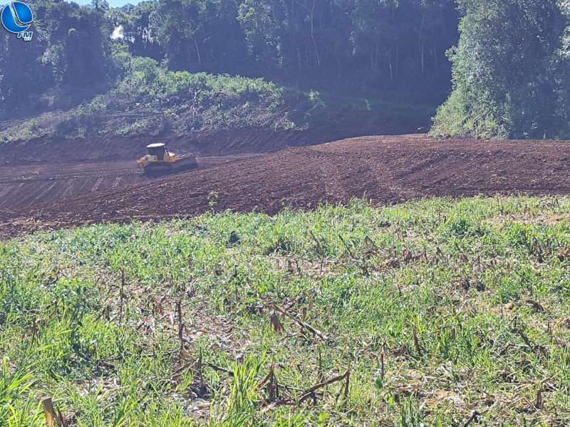 Desmatamento é flagrado em Tapejara
