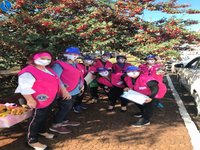 Imagem 10 da galeria