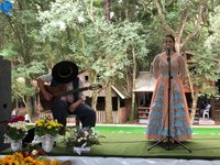 Imagem 20 da galeria