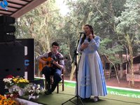 Imagem 13 da galeria