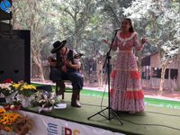 Imagem 12 da galeria