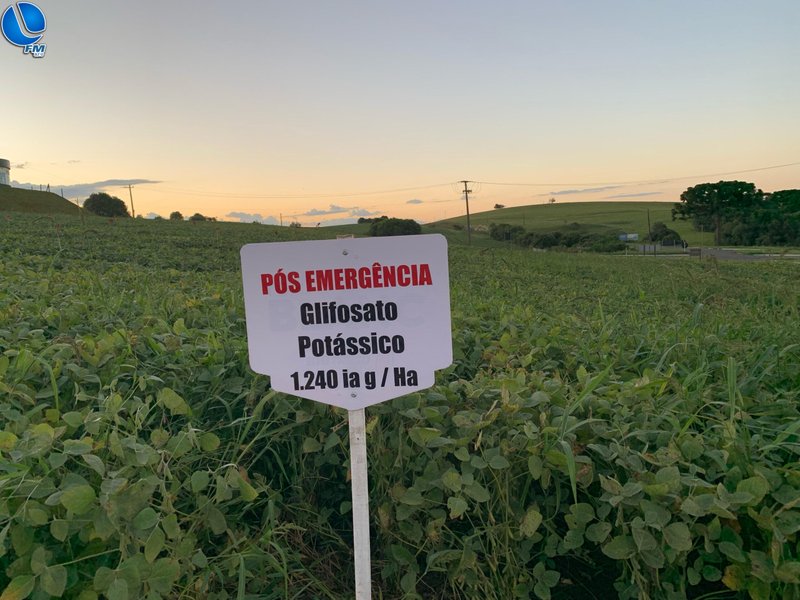 Noite de Campo Coasa